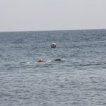 Zurück im Wasser