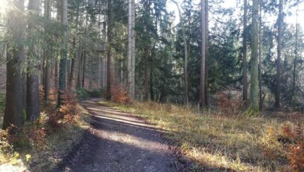 Run, Run, Knips, Run