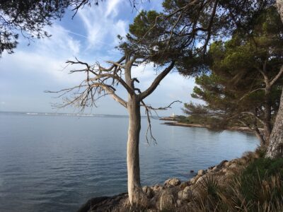 Tag 34 / -294: Atemberaubend