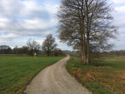 Tag 120 / -208: Doppelte Führung