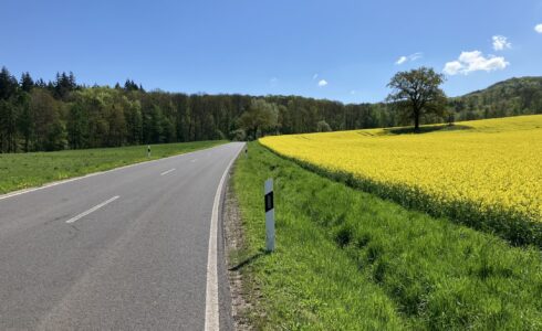 Endlich Frühling