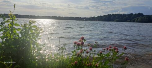 Tankumsee Triathlon