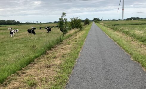 20km Zeitfahren reloaded