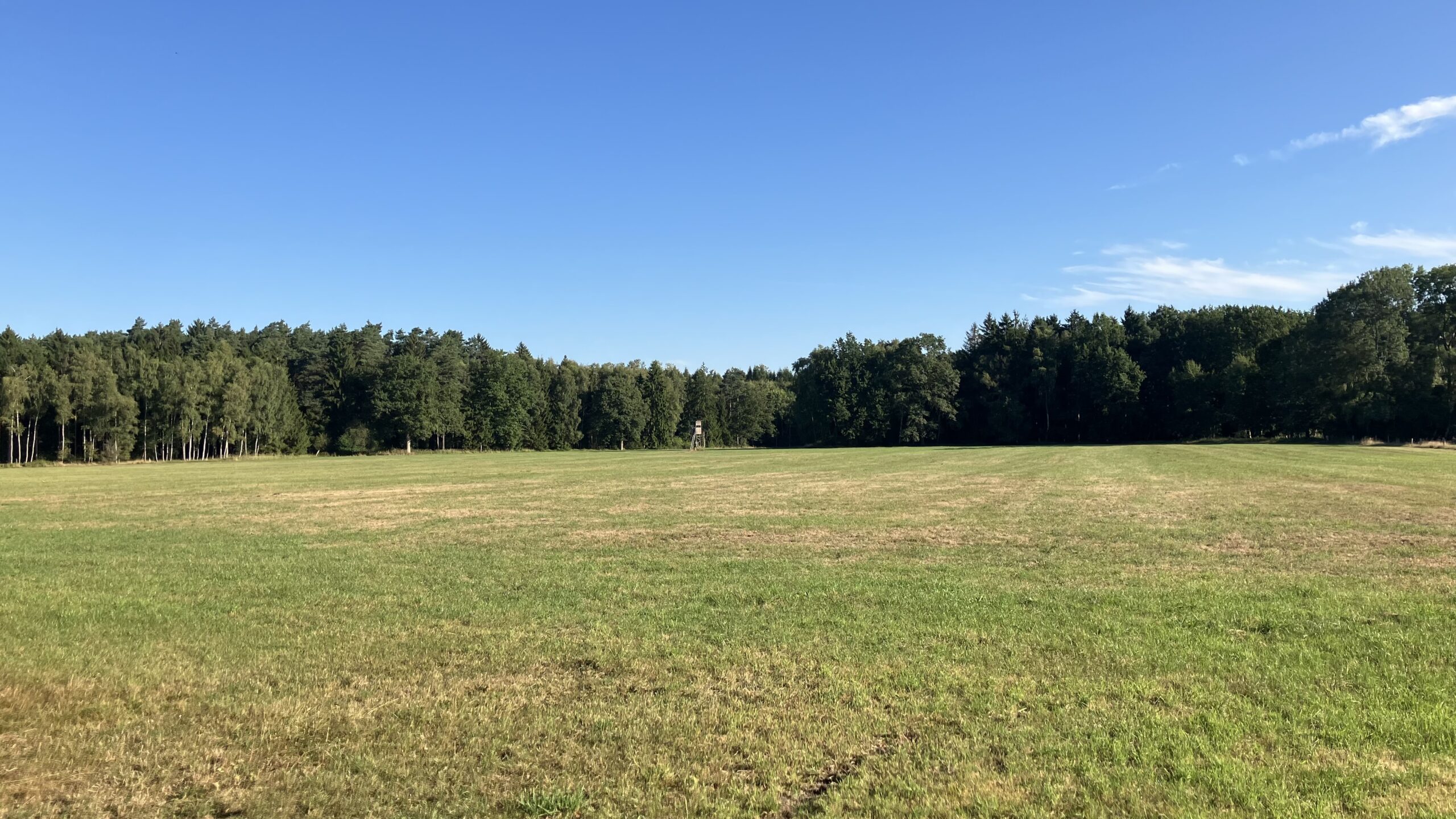 Neue Strecken, weniger Wettkämpfe